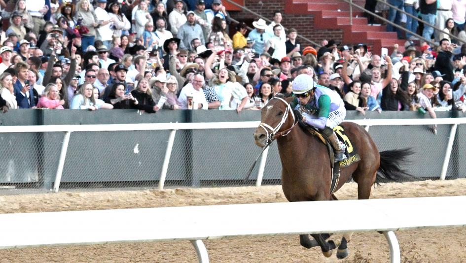 Renegade, Commandment, The Puma Leap to Top of Triple Crown Power Rankings